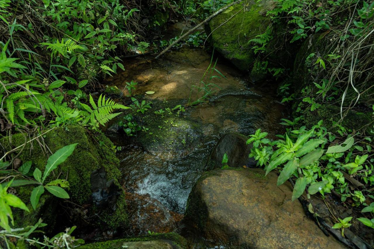 Pousada Terra Dos Passaros São Bento do Sapucaí Extérieur photo
